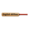 English Willow