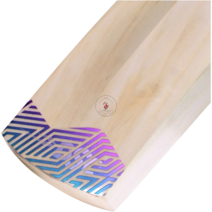 Alternative view of DSC RS Exclusive- Cricket Bat